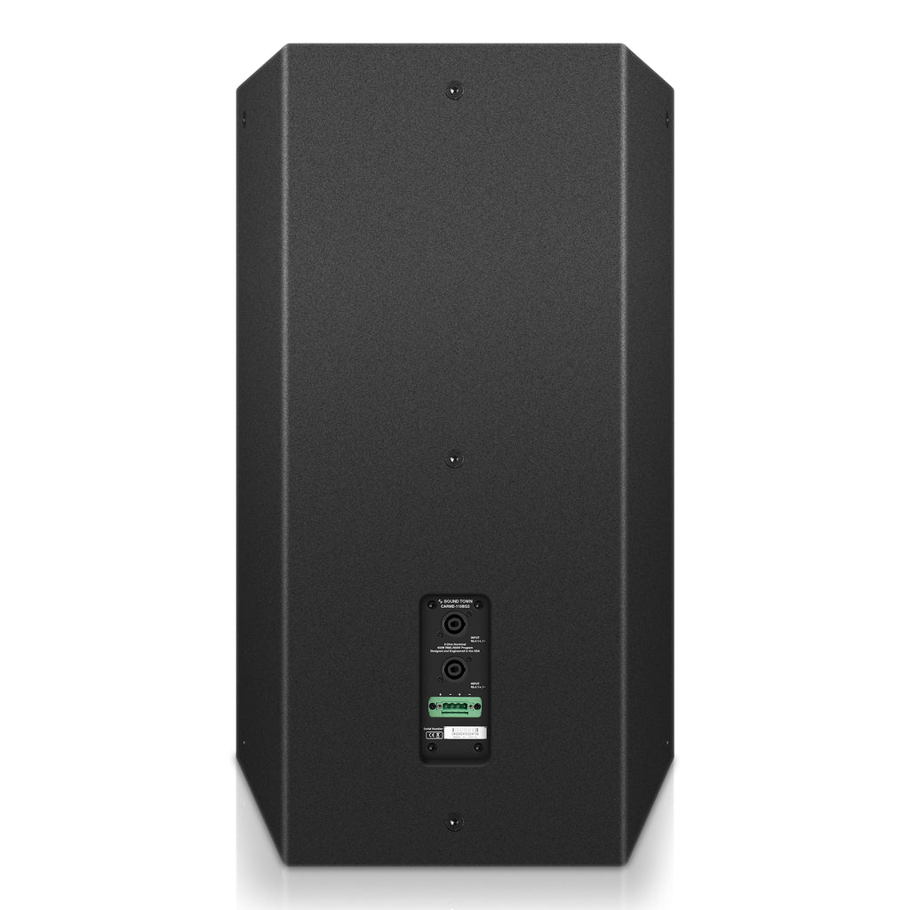 Sound Town CARME-115BG3 | CARME Series 15" 900W 2-Way Professional PA DJ Speaker, Black with Titanium Driver for Installation, Live Sound, Karaoke, Bar, Church-Back