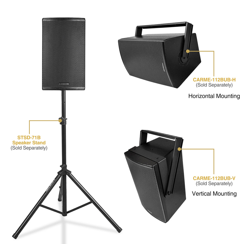 Sound Town CARME-112BG3-R | REFURBISHED: CARME Series 12" 700W 2-Way Professional PA DJ Speaker, Black w/Titanium Driver for Installation, Live Sound, Karaoke, Bar, Church-Versatile Applications, Wall-Mount, Stage Monitor, Floor Standing