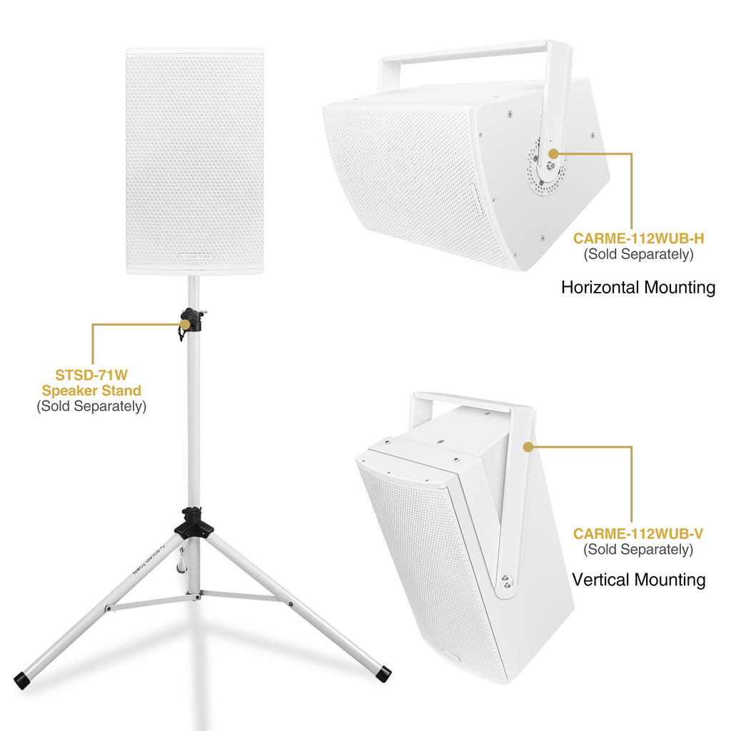 Sound Town CARME-112WG3 | CARME Series 12" 700W 2-Way Professional PA DJ Speaker, White w/Titanium Driver for Installation, Live Sound, Karaoke, Bar, Church-Versatile Applications, Wall-Mount, Stage Monitor, Floor Standing
