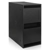 CARME-212SPW2.1 | Dual 12" 2200W Powered PA Folded Horn Subwoofer with 2 Speaker Outputs, DSP, TWS Bluetooth, Birch Plywood, Black - Folded Horn Design