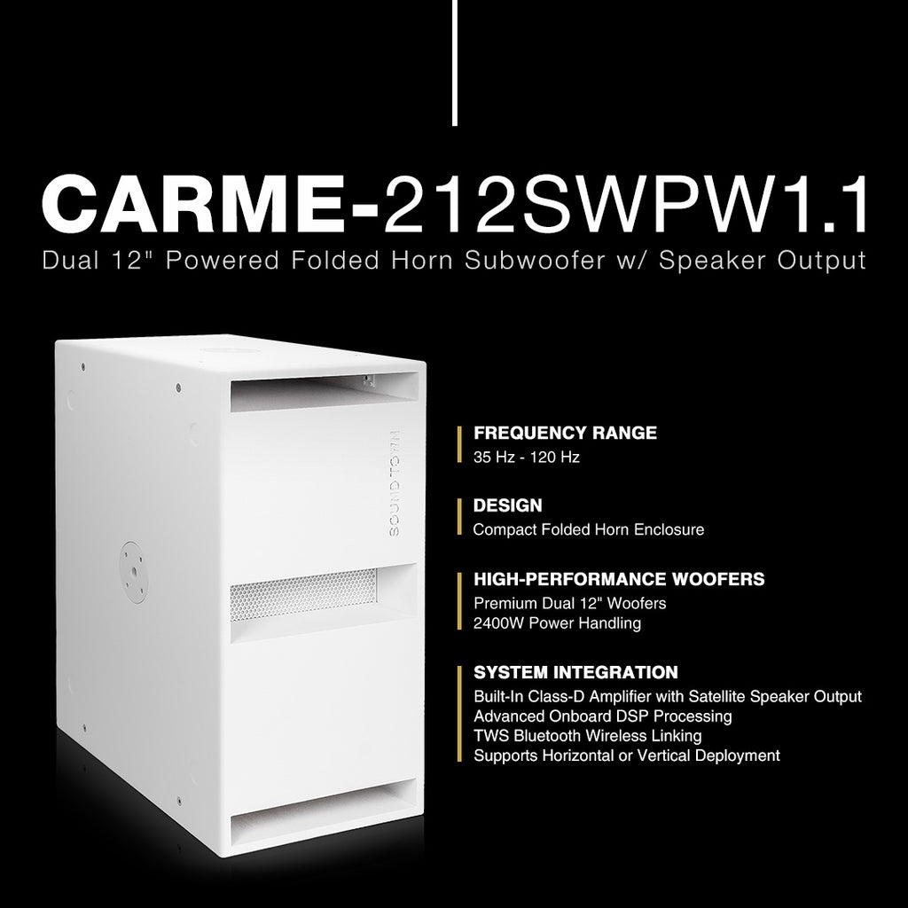CARME-212SWPW1.1 | Dual 12 CARME-212SWPW1.1 | Dual 12