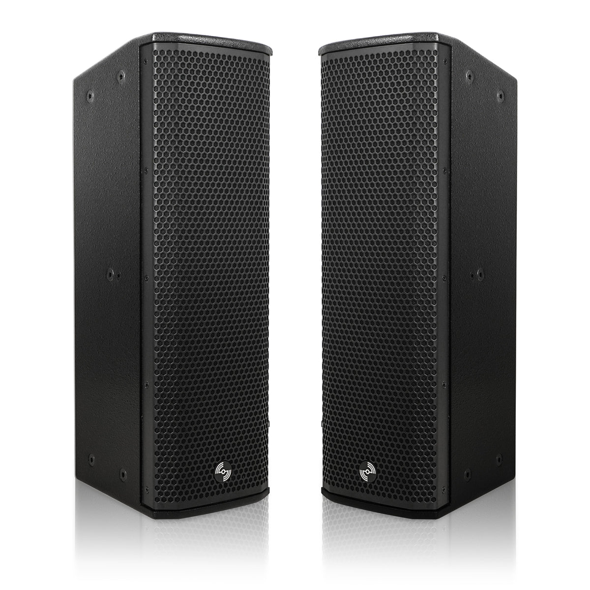 CARPO-P3B | Pair of High-Power 500W Passive Column Line Array