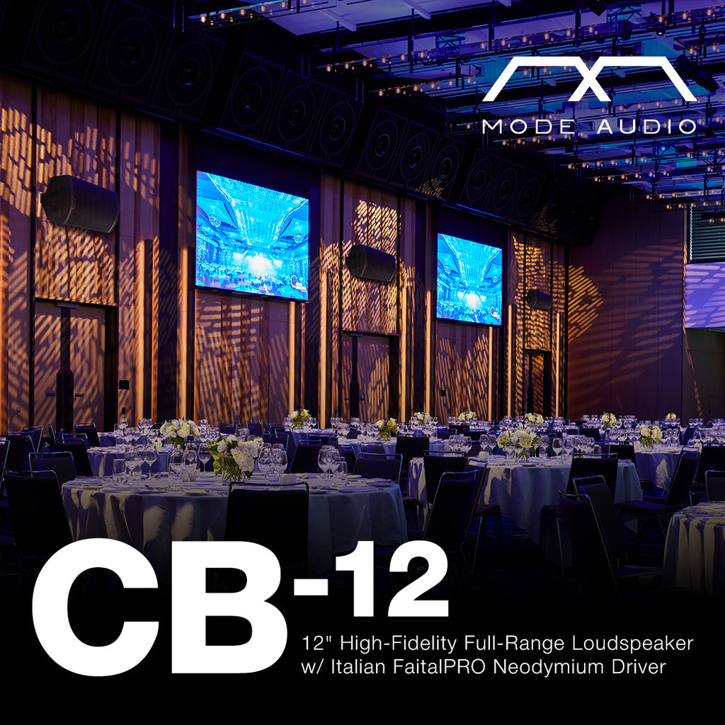 Sound Town CB-12 | MODE Audio 12" High-Fidelity Passive Full-Range Loudspeaker w/ Italian FaitalPRO Neodymium Driver, Birch Plywood, Black - Ideal for Immersive Audio Experiences in Restaurants, Lounges, and Theaters