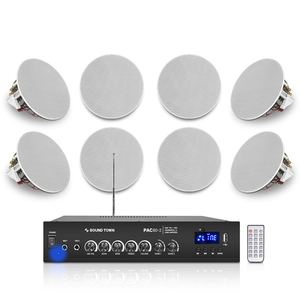 70v Speaker 2) Rockville MC80 Metal 8