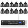 Sound Town STCA360X12PD6B | 6-Zone 70V/100V Commercial Restaurant Amplifier with Bluetooth and 12 x Weather-Resistant 6.5-Inch Pendant Speakers Set, Black, FM Antenna